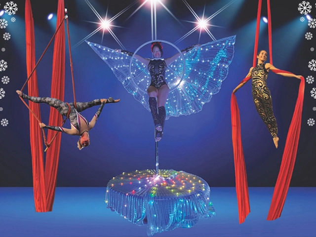 Winter Wonderland Showcase, circus arts performance, Cirque Art Studio, North Miami Beach, FL>